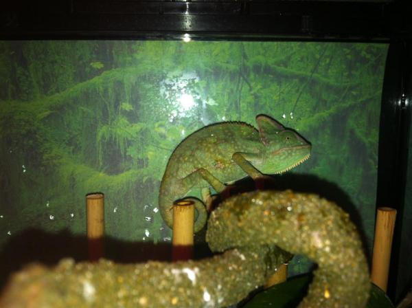 316448 2368106195414 1033203491 2757950 163641911 n