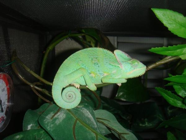 317845 2381361566790 1033203491 2769730 226709971 n