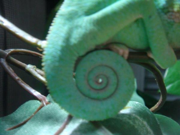 320050 2381362206806 1033203491 2769733 96202495 n