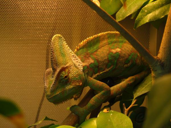 328657 434628736583297 125561657 o