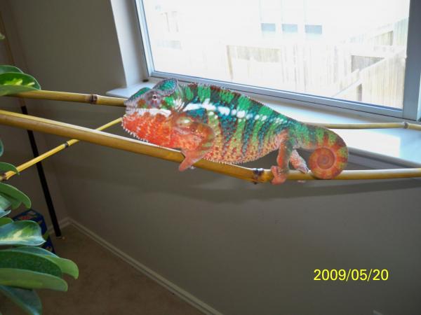 3412.jpg