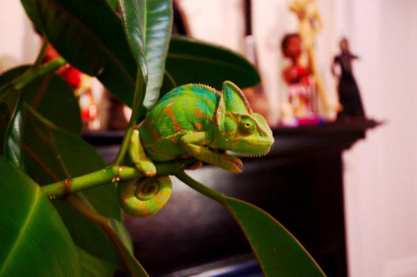 35521 10151050517932391 468282458 n