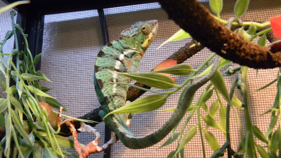 3692 4161689953782 2039639321 N