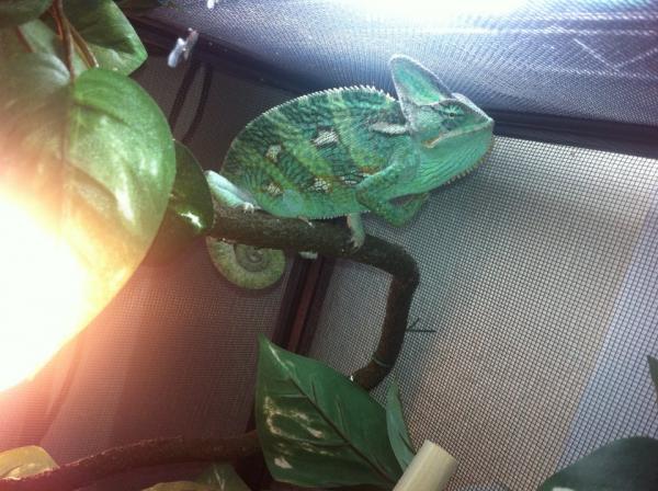 376052 2755805607657 1033203491 2970492 1448617902 n