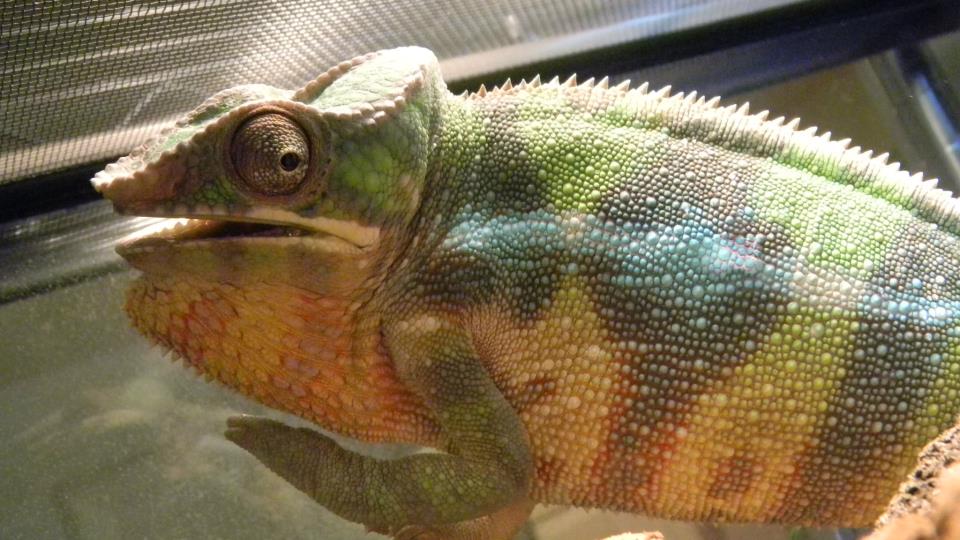 376686 4161690913806 1378860524 N