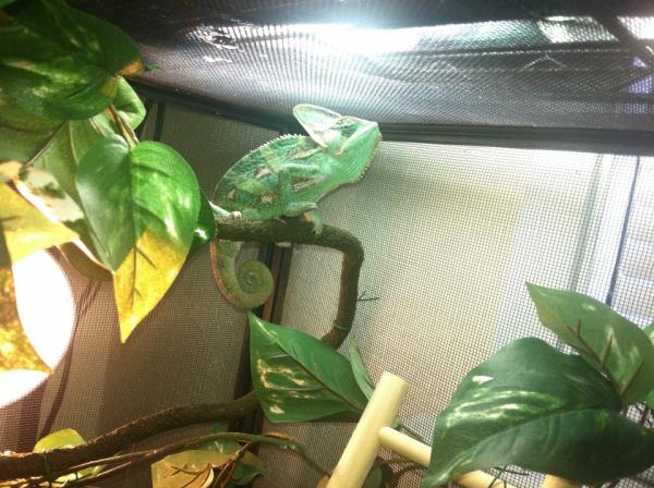 378868 2755806807687 1033203491 2970493 358094232 n