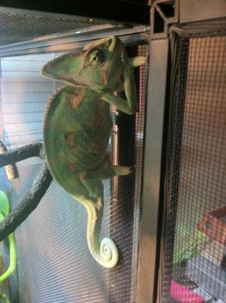 379043 2755803607607 1033203491 2970491 552350456 n