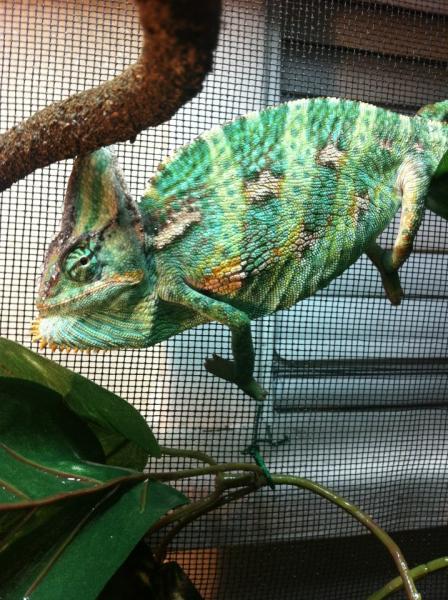 388535 2755809047743 1033203491 2970495 1513785328 n