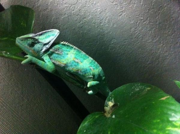 395447 2720455123917 1033203491 2949261 2053714693 n