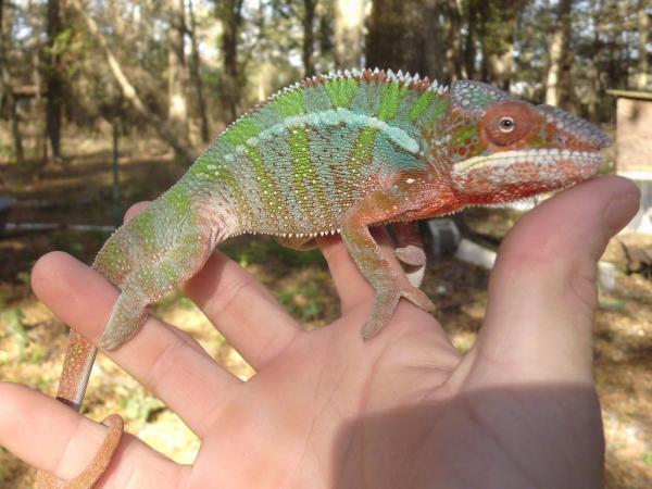 4 months 3 weeks 4 days