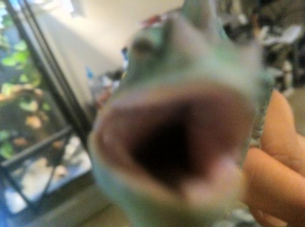 422596 3177965921401 1033203491 3148662 1120413194 n