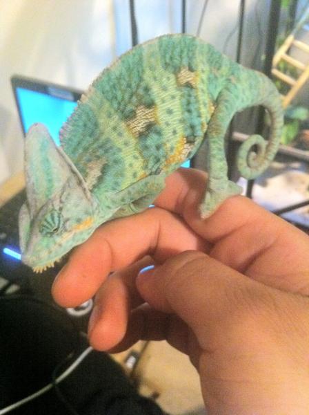 425764 3177972001553 1033203491 3148665 1811147340 n