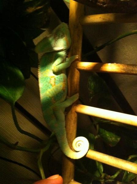 426205 3178005522391 1033203491 3148673 525362740 n