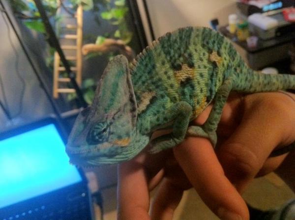 426418 3177963921351 1033203491 3148660 1939774607 n