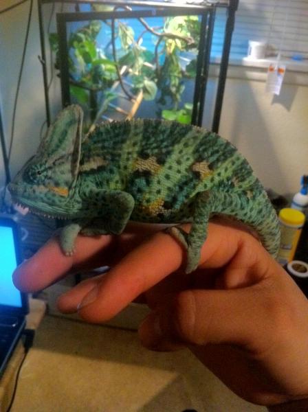 429137 3177977761697 1033203491 3148666 2140498217 n