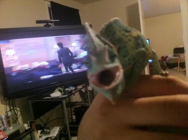 431141 3177966761422 1033203491 3148663 202615058 n