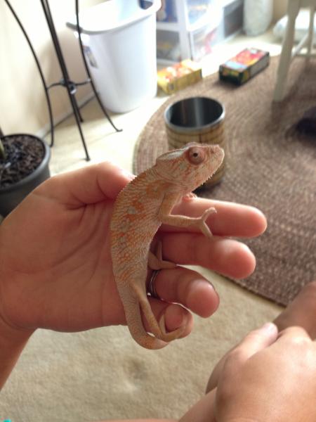 5.5 Months Old