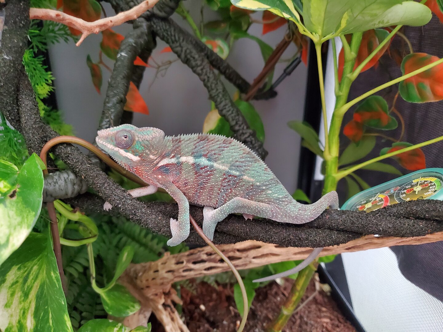 ~5 mo