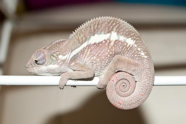 5 month old Kaji ready for bed!