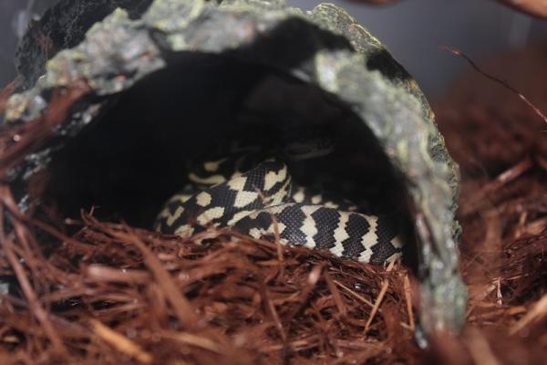 5 months, day one at home