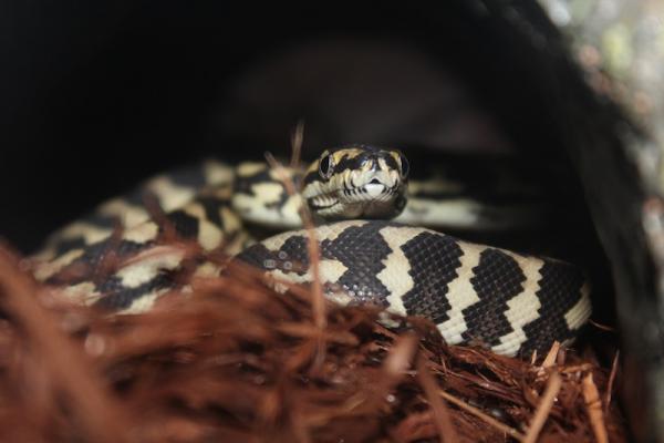 5 months, day one at home