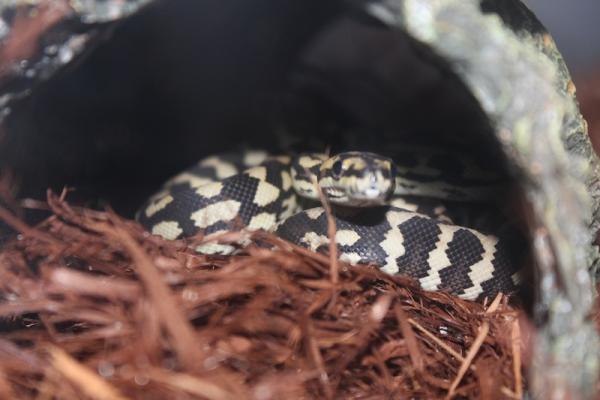 5 months, day one at home