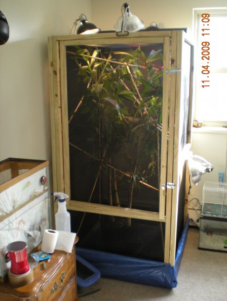 5' X 3' X 3'