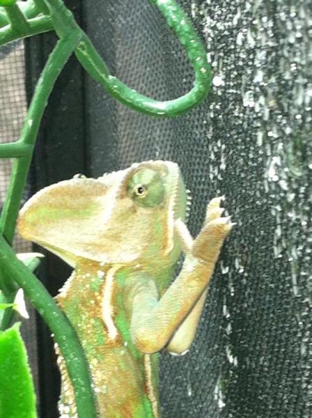 527770 4097777497517 1287492751 n
close up...