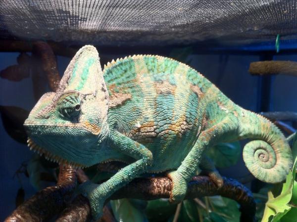 527863 3270452113498 1033203491 3197807 809463636 n