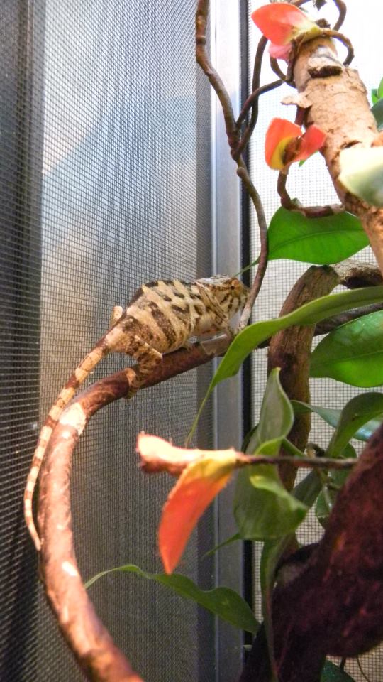 538965 4161688513746 558397874 N