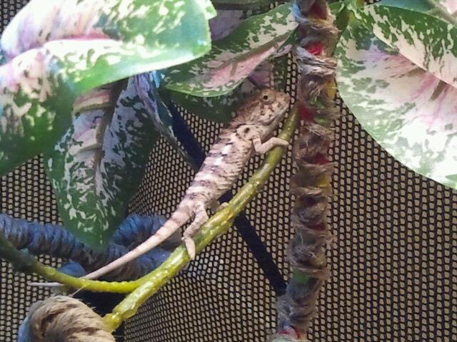 552028 330392450389741 647652732 N