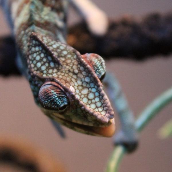 78b61402c86d11e28b9a22000a1f9d42 7 1