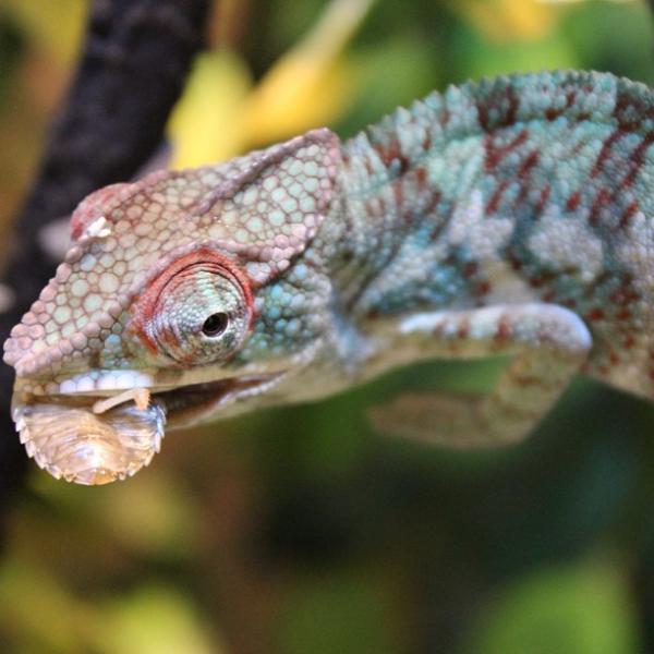 8753867cc8c511e2a8b322000a1f9691 7 1