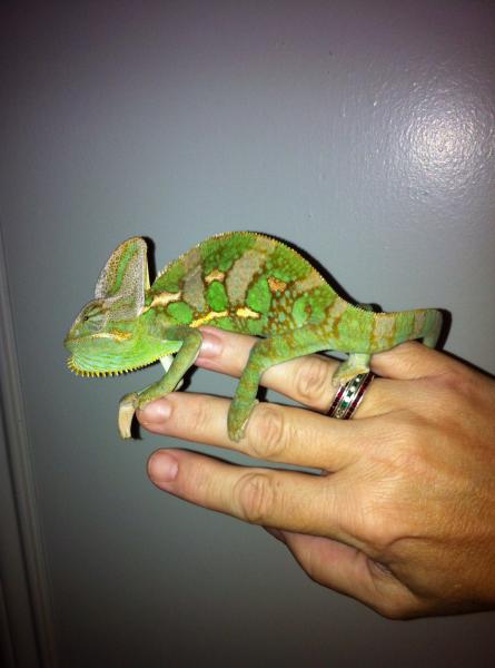 968504 4325833158766 117780099 o
Being held against his will...lol