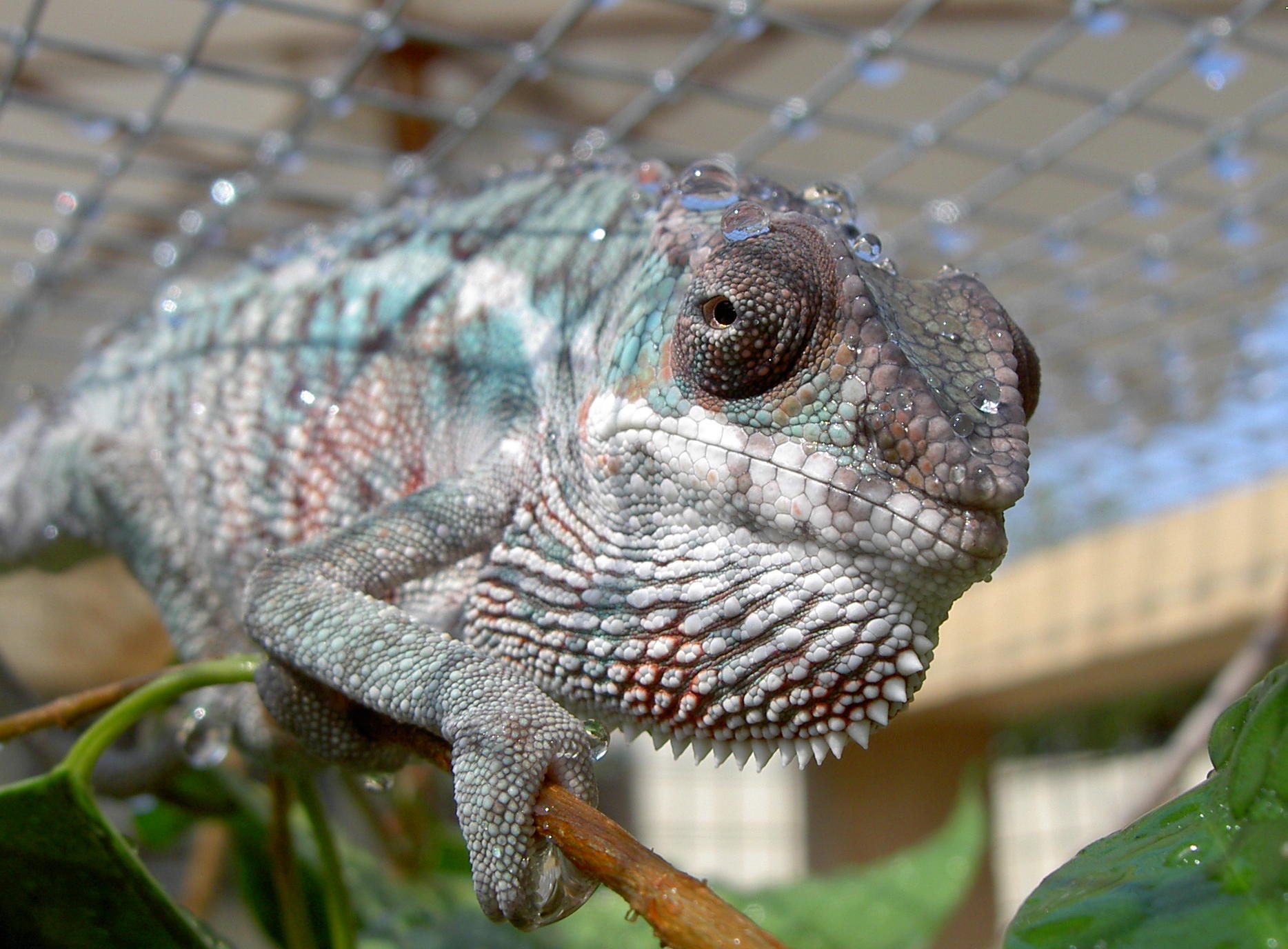 a break from the rain