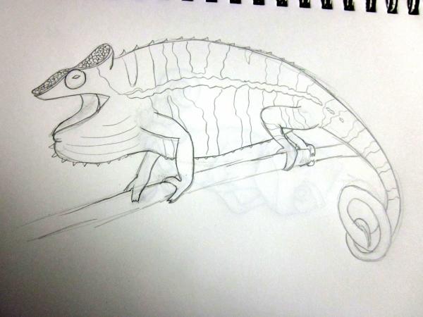 a free handed drawing of xerxis, the red bar ambilobe from screameleons :)