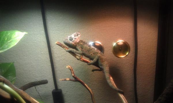 a good shed.
