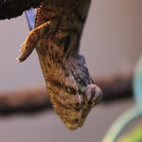 a7348004b39411e2a56722000a1f9d88 7