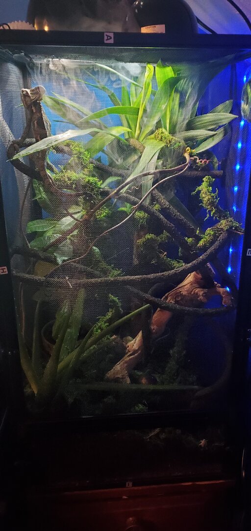 Added moss