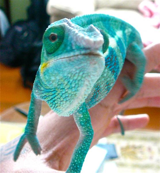 After his 2nd shed w/ me