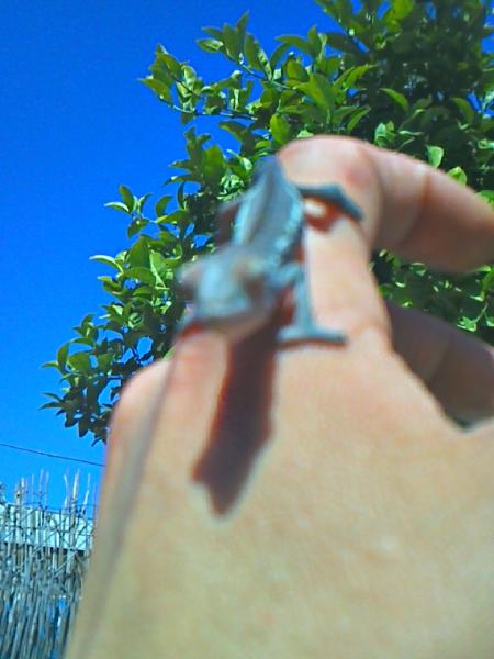 after seeing all this blue i started thinking i had a girl but my hopes are raising