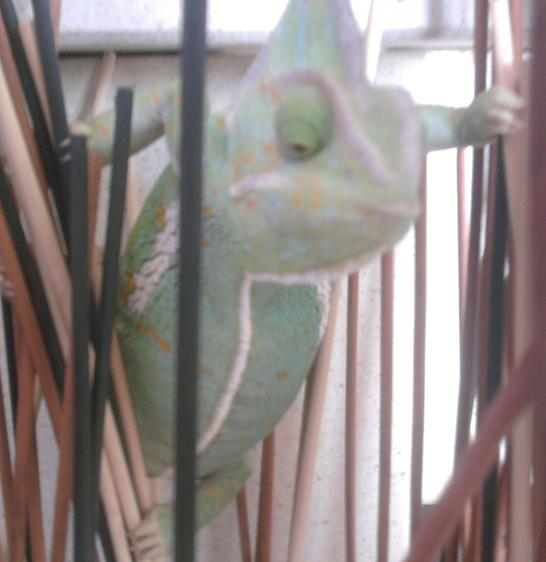 alright i've been found