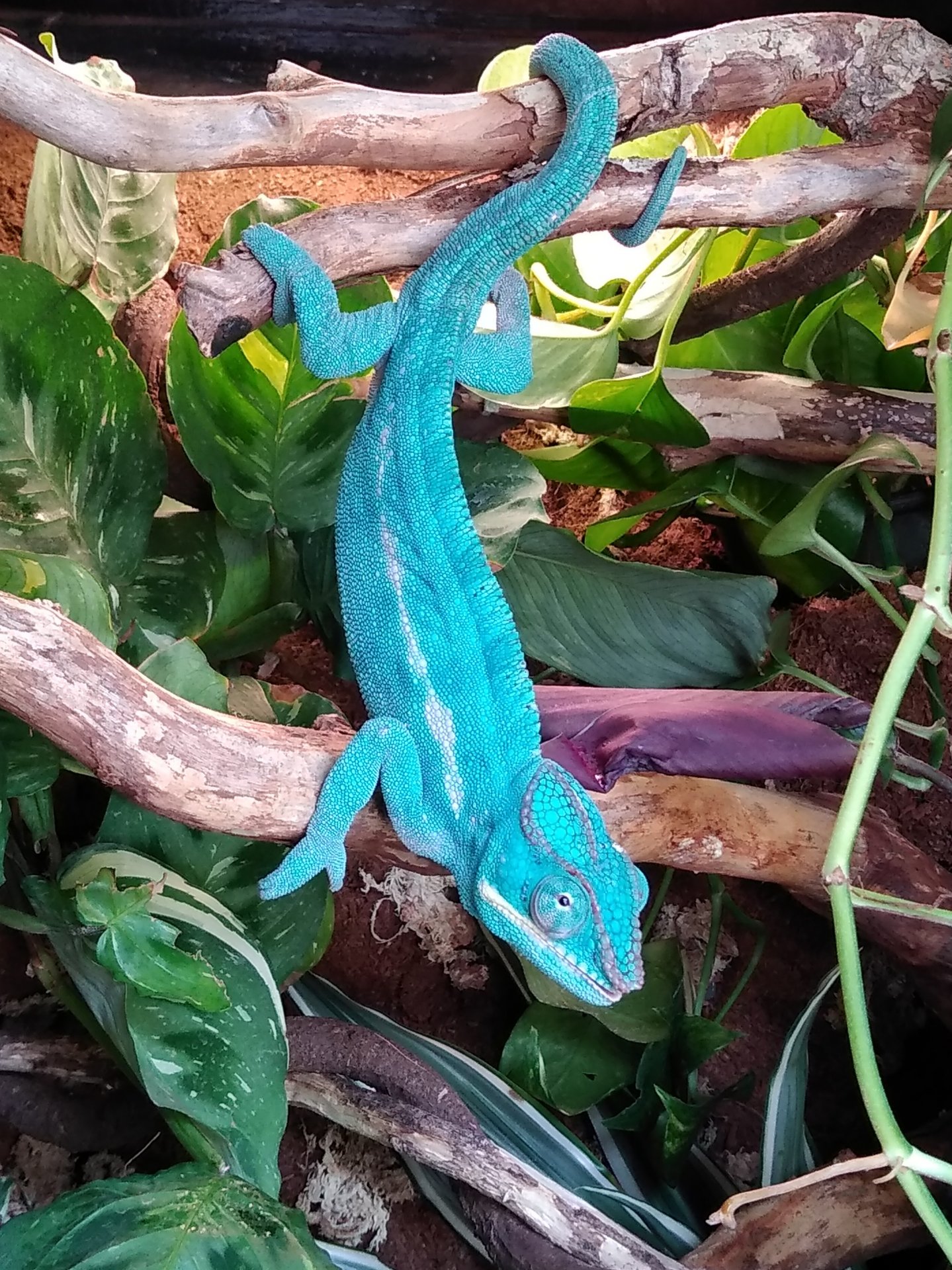 Always ready for breakfast!