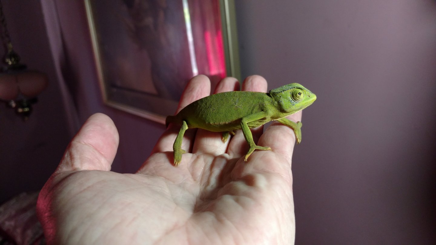 And another out of the bag