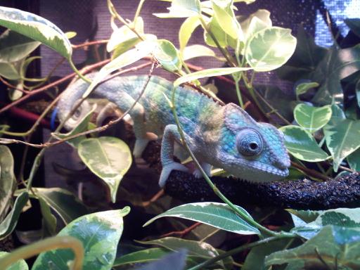 Another pic of 4 months