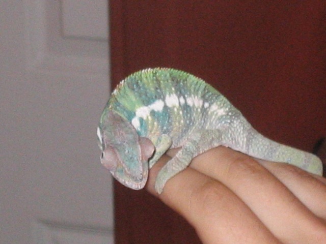Another view