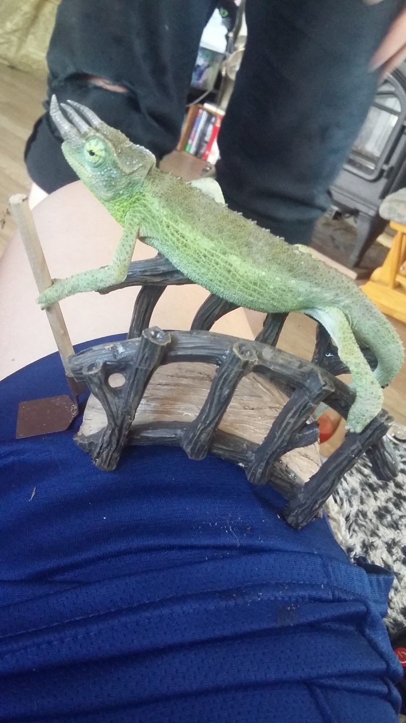 Apollo is.... already picking up hoes