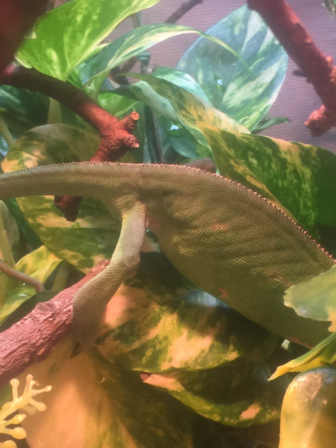 are there eggs here?!