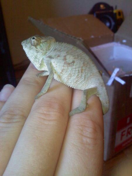 Arrived July 14th, 2010 :)