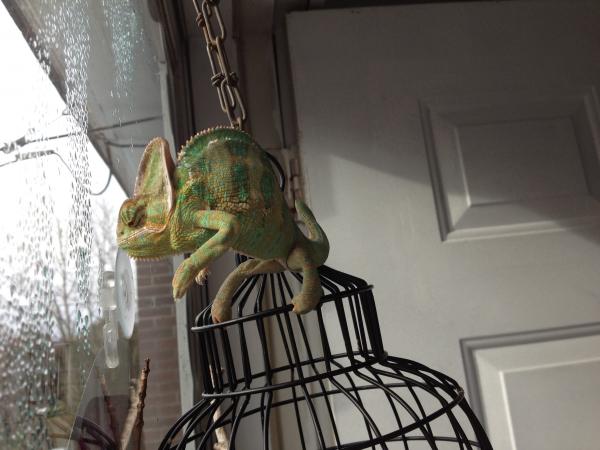 Arrr...I am trying to turn around!!!